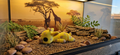 Mini Flexi Giraffa