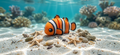 Mini Flexi Pesce Pagliaccio (Nemo)